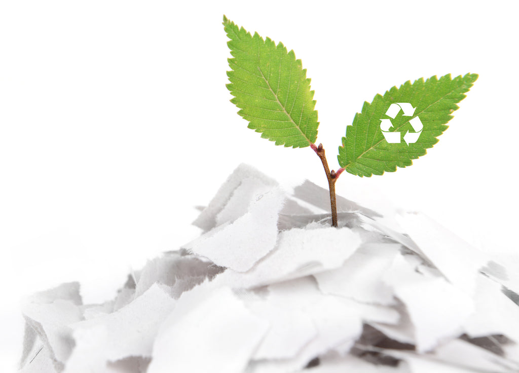 Go Green: Use Paper Shredder Compost For Your Garden